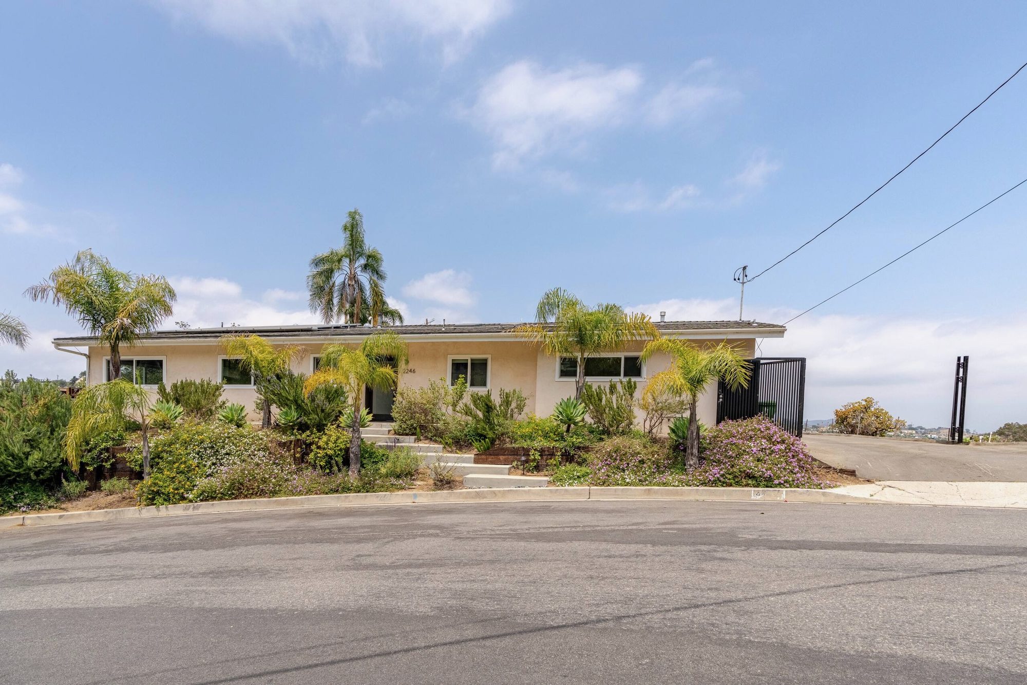 Front of the house from the street, with palm trees and drought-tolerant landscaping along the walkway
