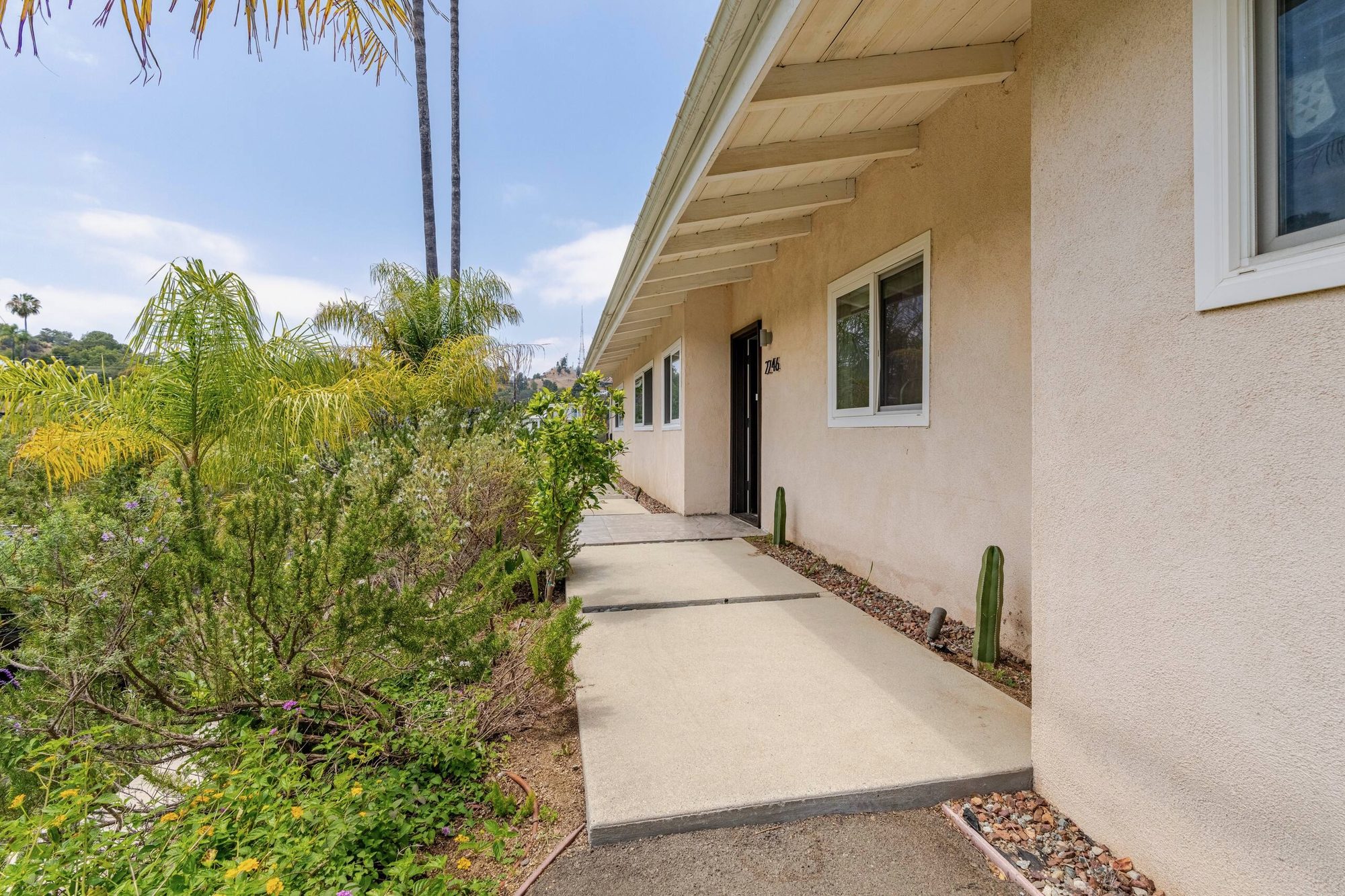 Side walkway along the front of the house lined with cactus and flowering shrubs